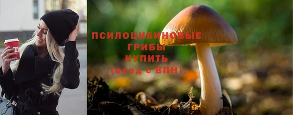 герыч Богородск